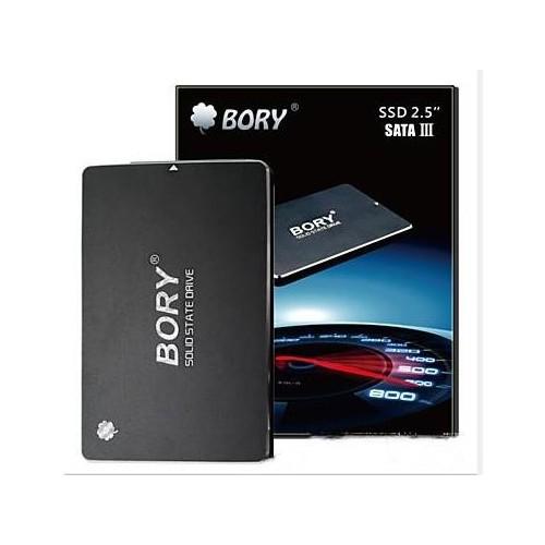 Bory 256 GB R500 Sata3