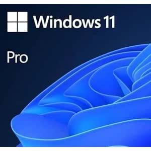 Microsoft Windows 11 Pro 64 Bit İngilizce OEM FQC-10528