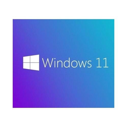 Microsoft Windows 11 Pro 64 Bit İngilizce OEM FQC-10528
