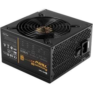 High Power 750W 80+ Gold PCIE5 (Performance)